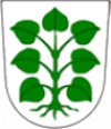 Laupen.ch 